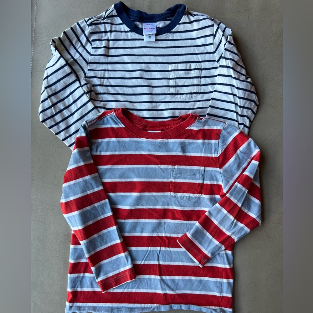 Set of 2 Hanna Andersson long sleeved boy tees size 5 in VGUC.